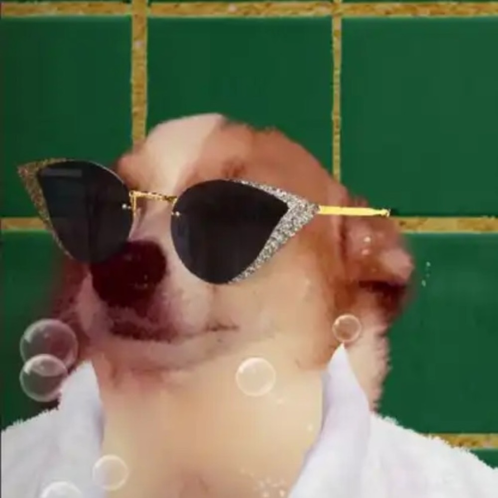 Meet your Posher, Joshua